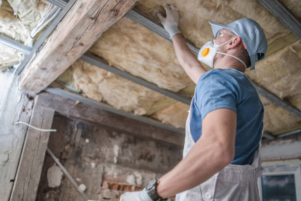 Best Spray Foam Insulation  in Wmette, IL