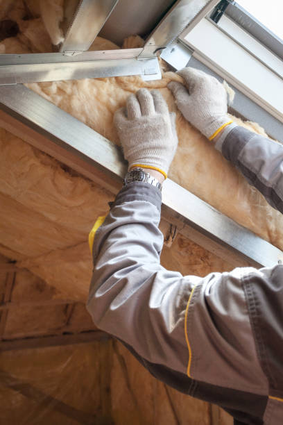 Best Soundproof Insulation Installation  in Wmette, IL
