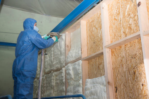 Best Insulation Replacement Services  in Wmette, IL